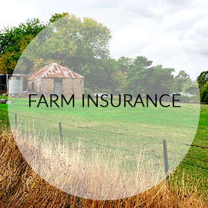hogan-insurance-solutions-business-farm-insurance